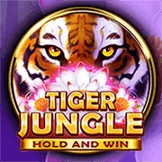 Trò chơi Poker tại oppa888
