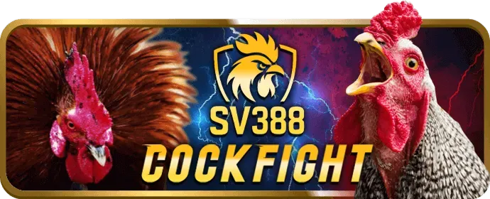 Mẹo cá cược thể thao oppa888